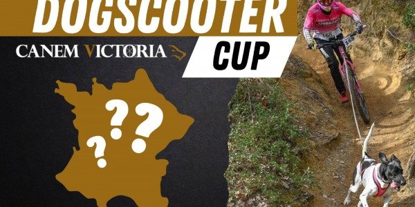 Dogscooter Cup Canemvictoria : Nouveau format de courses de dogscootering