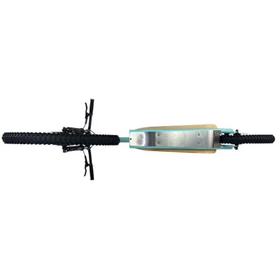 caniTrottinette tout terrain Gravity M10 trail Livrée