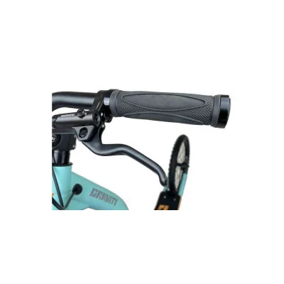 Canitrottinette Gravity Mushing Pro : Usage Intense