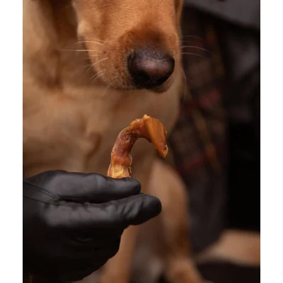 Friandise Pour Chien Oreilles de porc Essential Foods