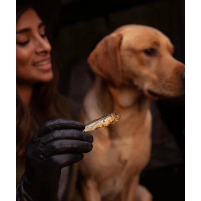 Friandise Pour Chien Petits Poissons Tiny Fish Delights