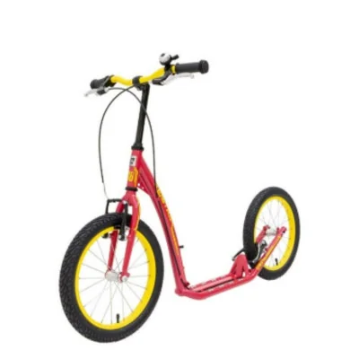 Kostka Hill Fun Kid Rose