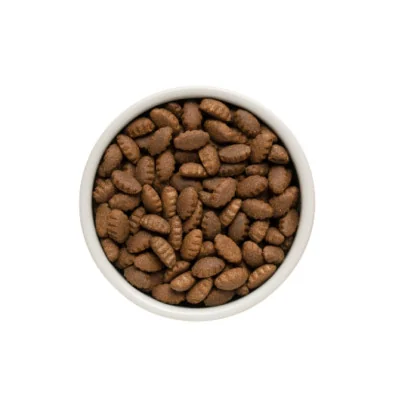 Dimensions croquettes grandes races agneau et riz