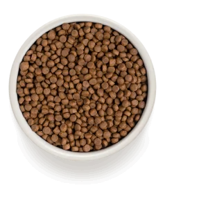 Grandorf Poisson Blanc et Riz Brun Pour Chat Adulte 2