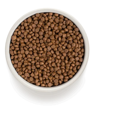 Grandorf Poisson Blanc et Riz Brun Pour Chat Adulte