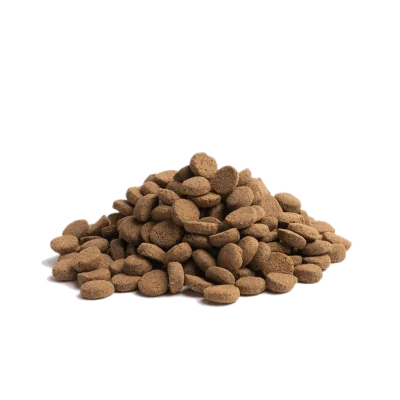 croquette Essential Foods Older Chien Agé 12,5Kg