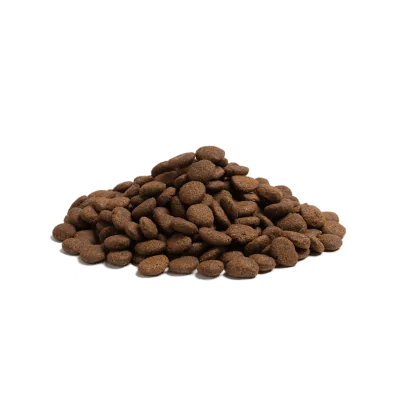 croquette Essential Foods The Beginning Large Breed Chiot grande race 12Kg