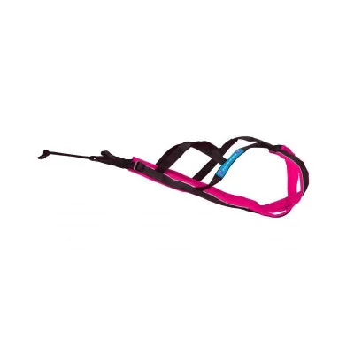 polar evo rose