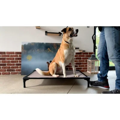 lit-chien-taille-l