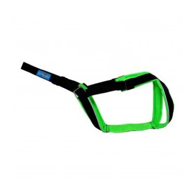 Harnais Canicross Petit Chien Inlandsis Open Back