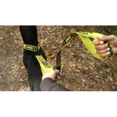 leash-proteam-devaaant