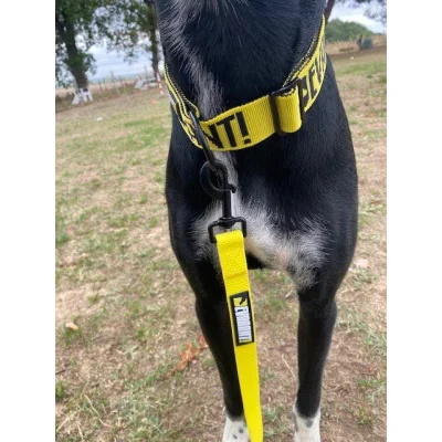 boucle-collier-devaaant