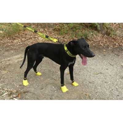 collier-devaaant-large