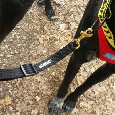 neckline attelage collier devaaant