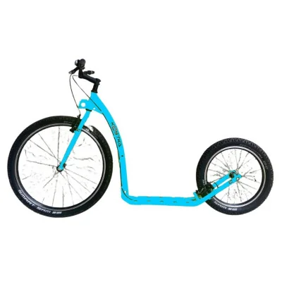 Kostka Canem Victoria bleue