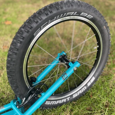 footbike kosytka tour dog