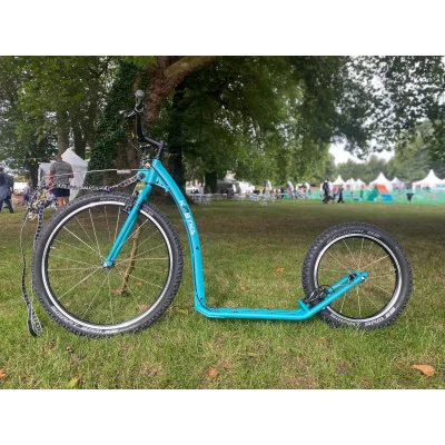 kostka tour dog bleue