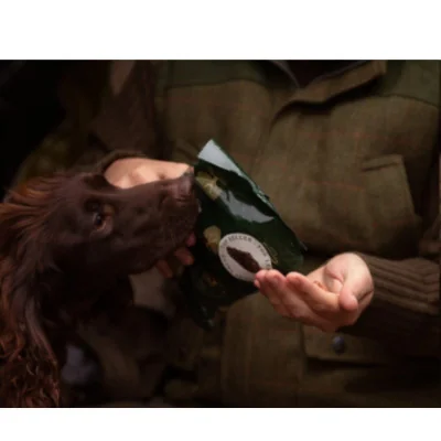 friandises-essential-food-motivation-delights