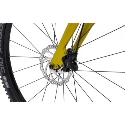 rayons de la roue arrière Kostka