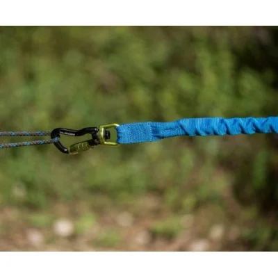 mousqueton inlandsis force