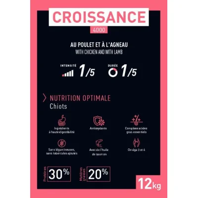 indications croquettes Pro Team chiots