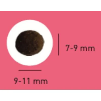 dimensions croquettes Pro Team