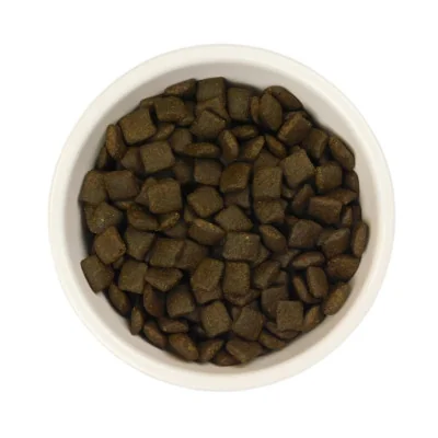 dimensions des croquettes au saumon