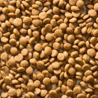 dimensions des croquettes pour chatons