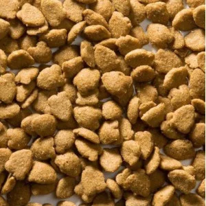 croquettes Greenheart-Premiums au poisson et au riz 2