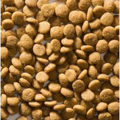 dimensions des croquettes chats sénior