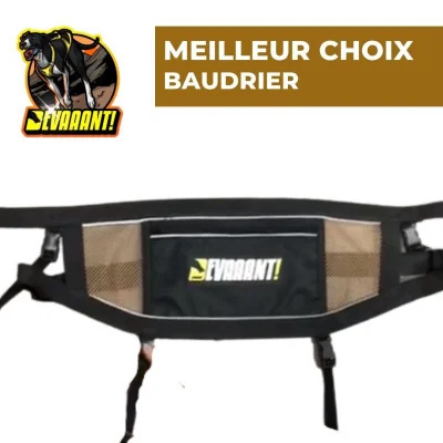 Kit Baudrier Canicross et Longe elastique Devaaant