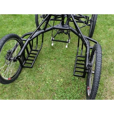 kart 4 roues chien