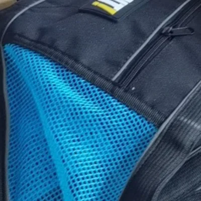 baudriers bleu canicross