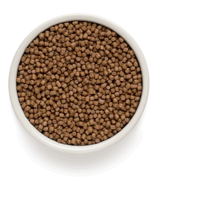 Grandorf Chaton Agneau et Riz Brun