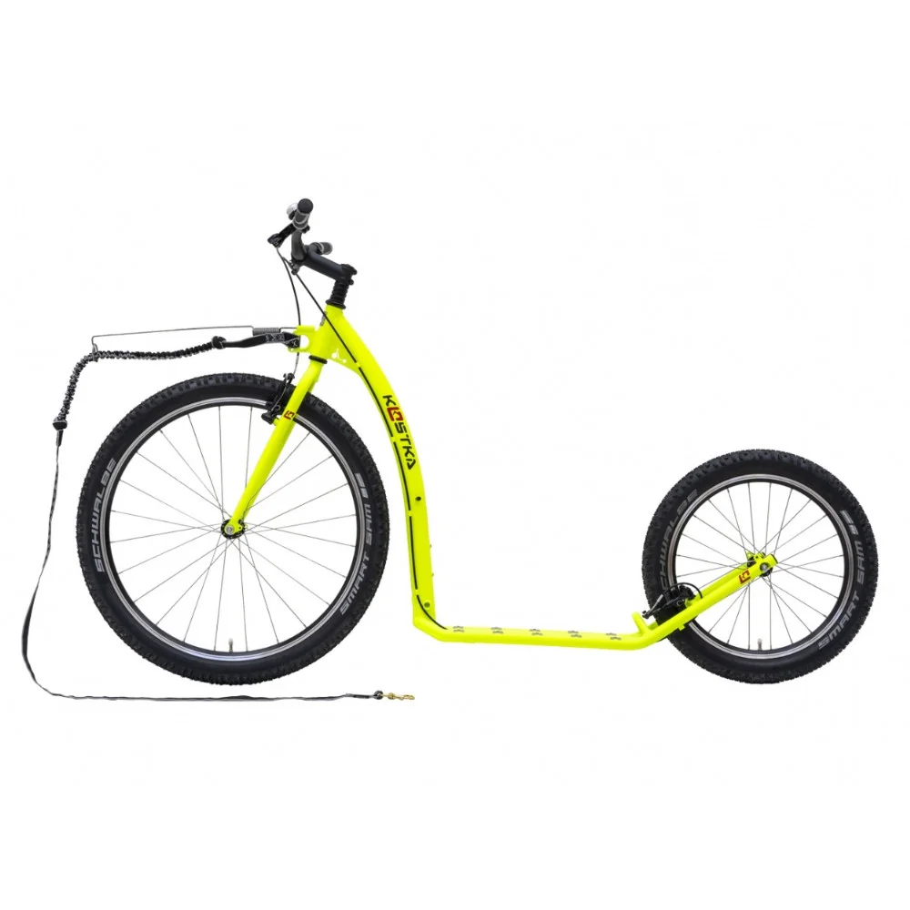 Koskta mushing racer fun canem victoria