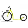 Koskta mushing racer fun canem victoria