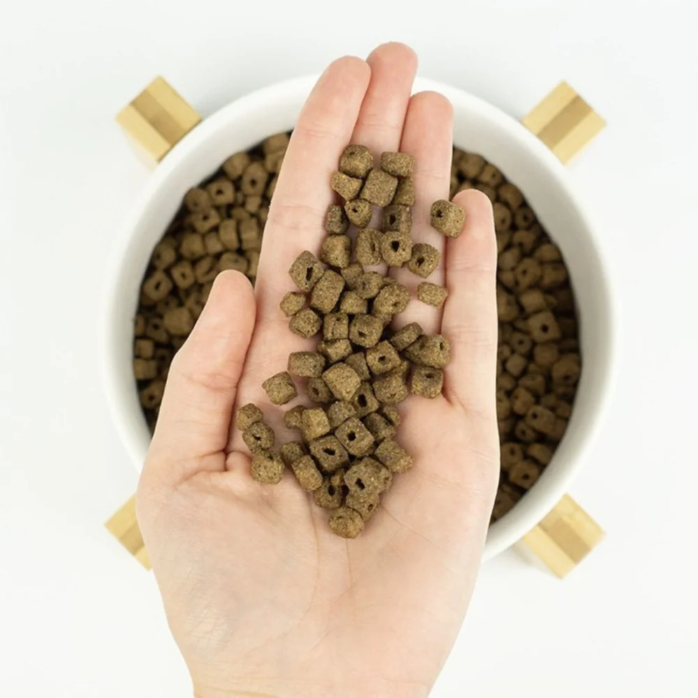 croquettes chien mini