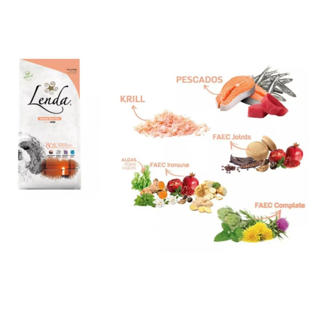 lenda mini Atlantic blue fish composition