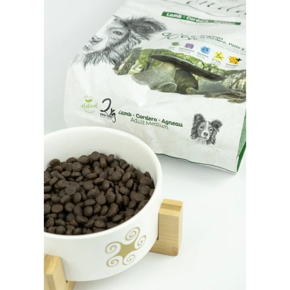 croquettes à l'agneau