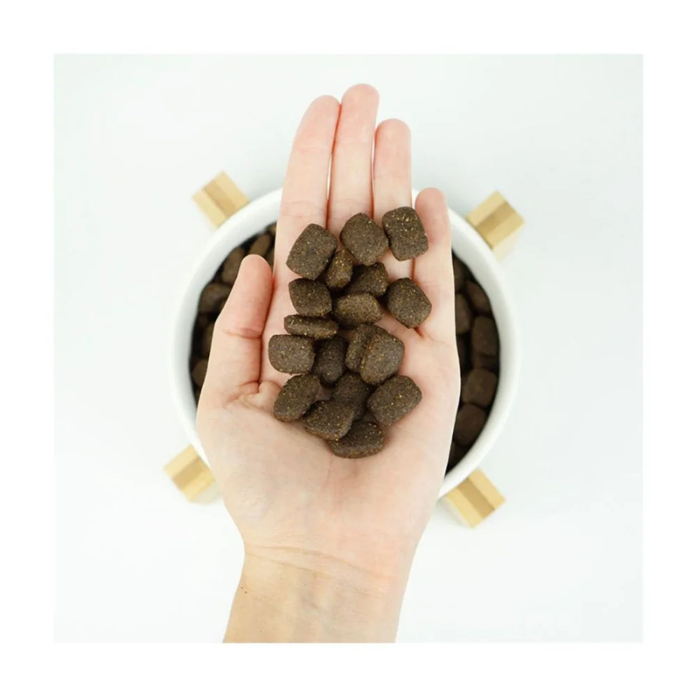 croquettes chien adulte