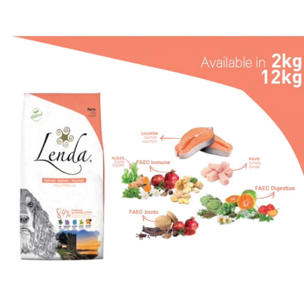 composition lenda salmon