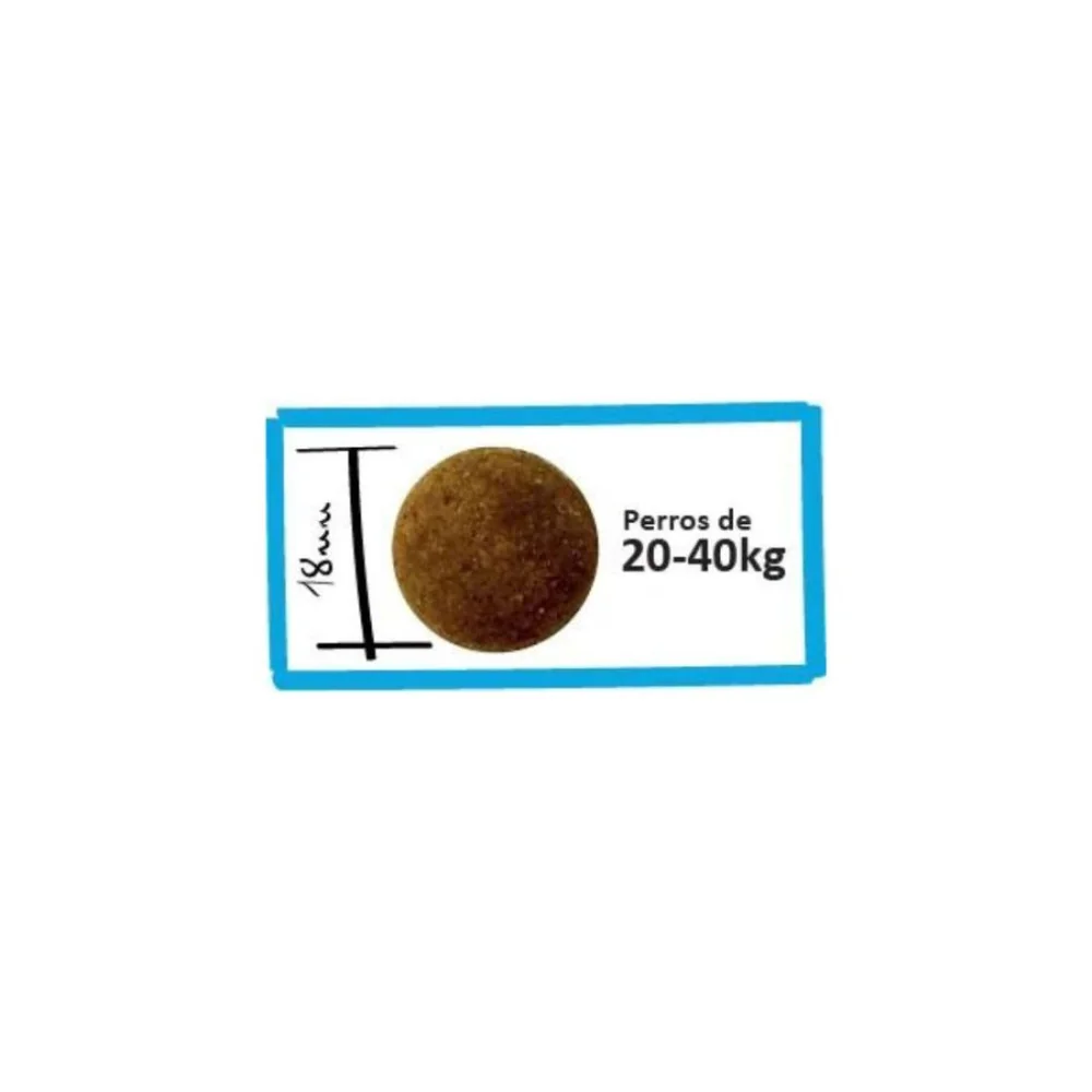 croquettes