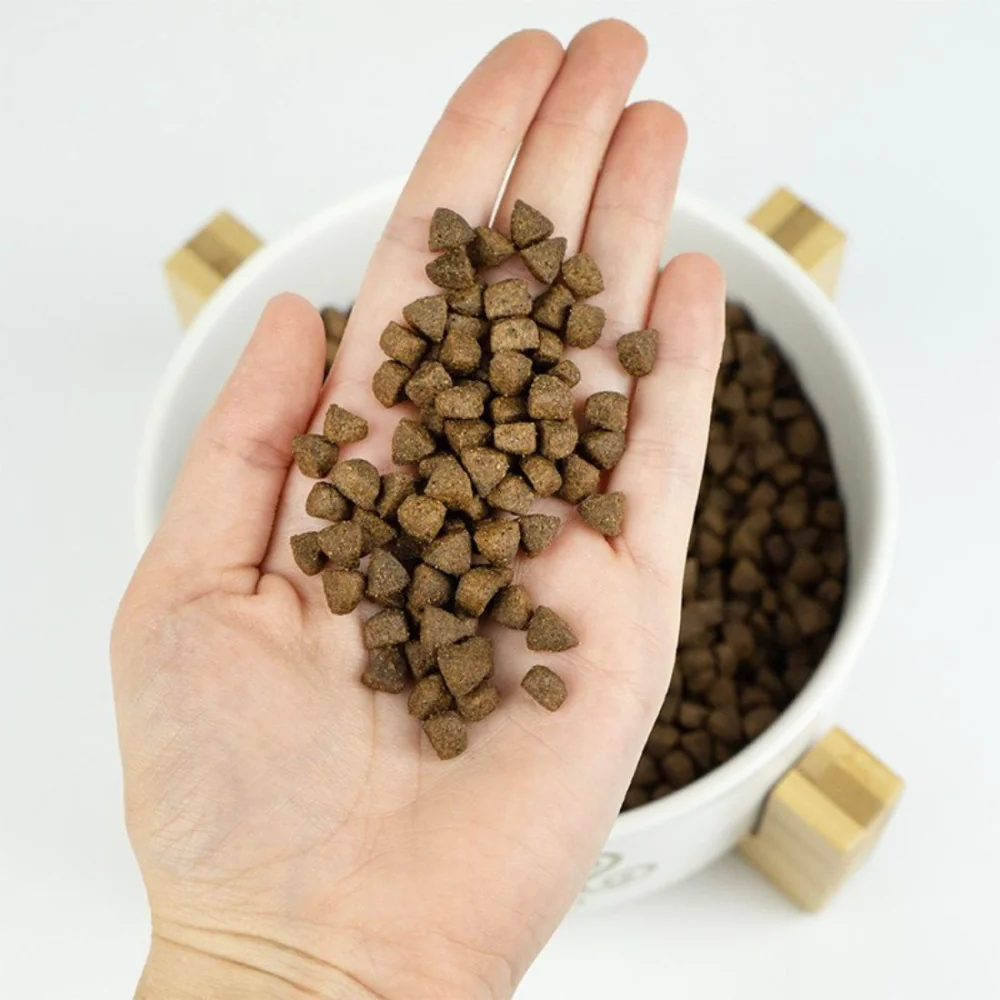 lenda grain free