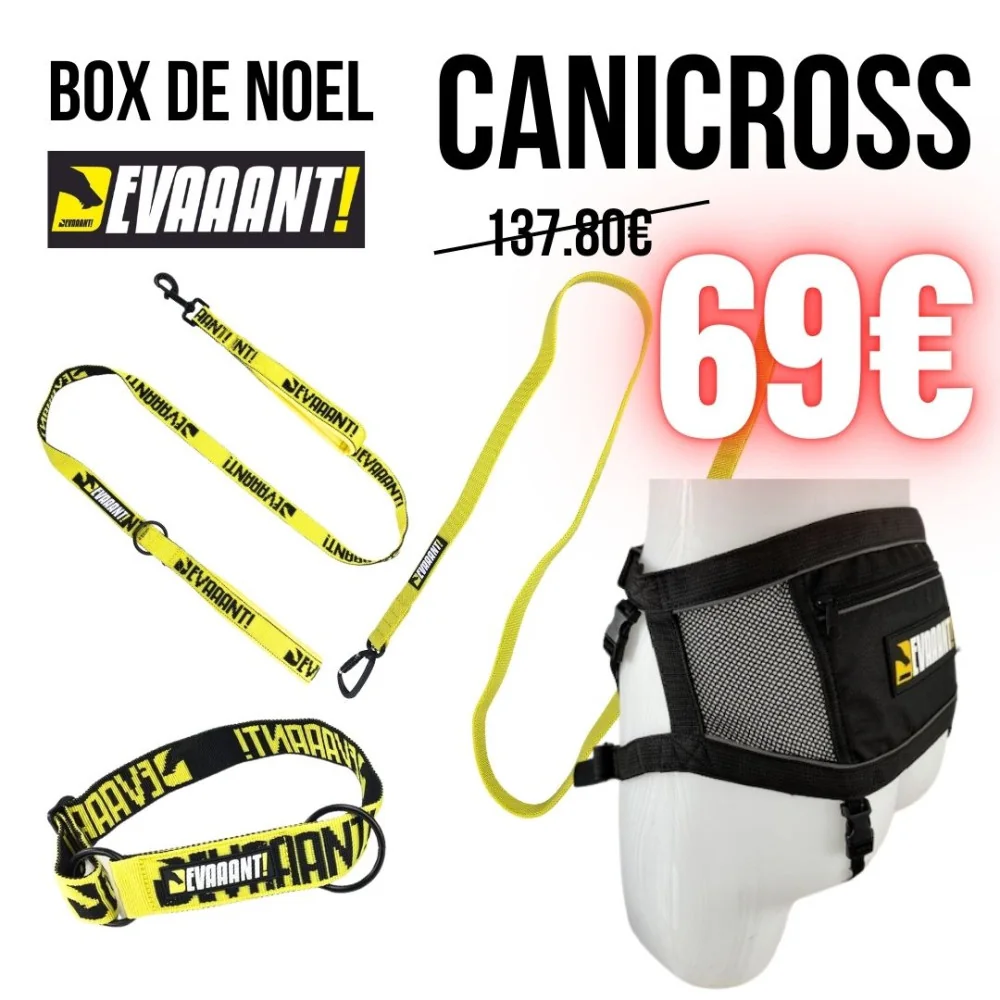 box de noel canicross