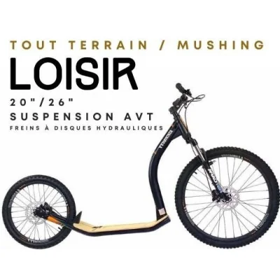 Trottinette tout terrain Gravity M10 trail Livrée