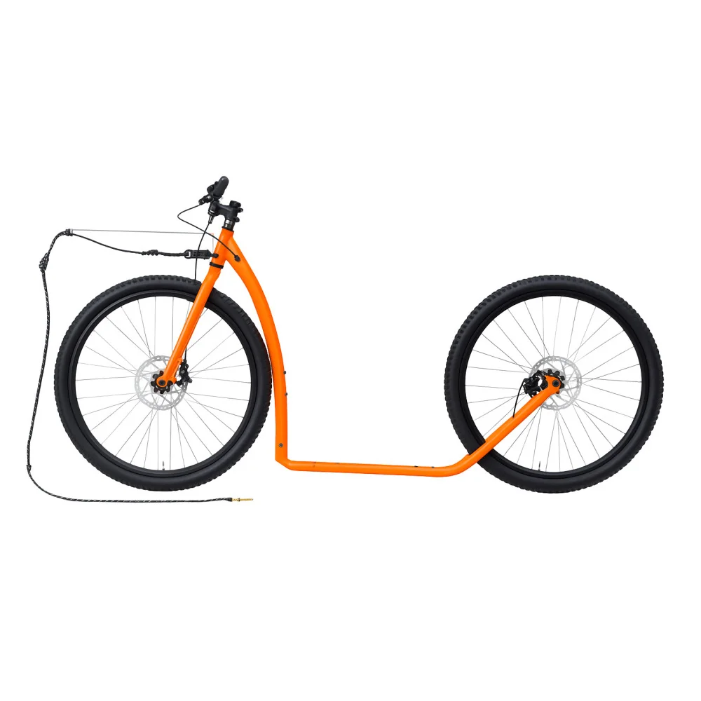 trip max dog orange kostka