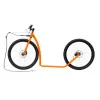 trip max dog orange kostka
