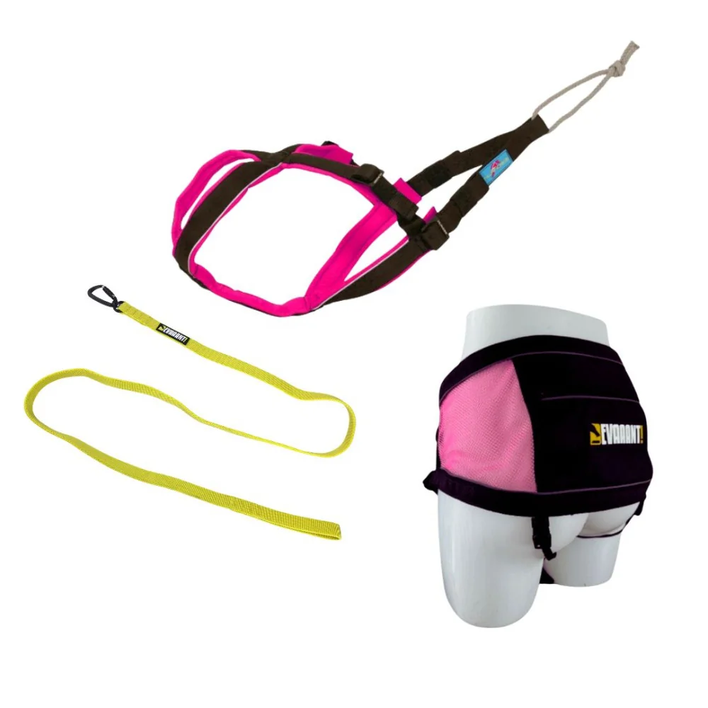 Ensemble Canicross Petit Chien