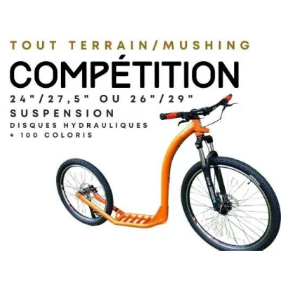 Cani Trottinette RowerLand Sprint avec suspension Livrée