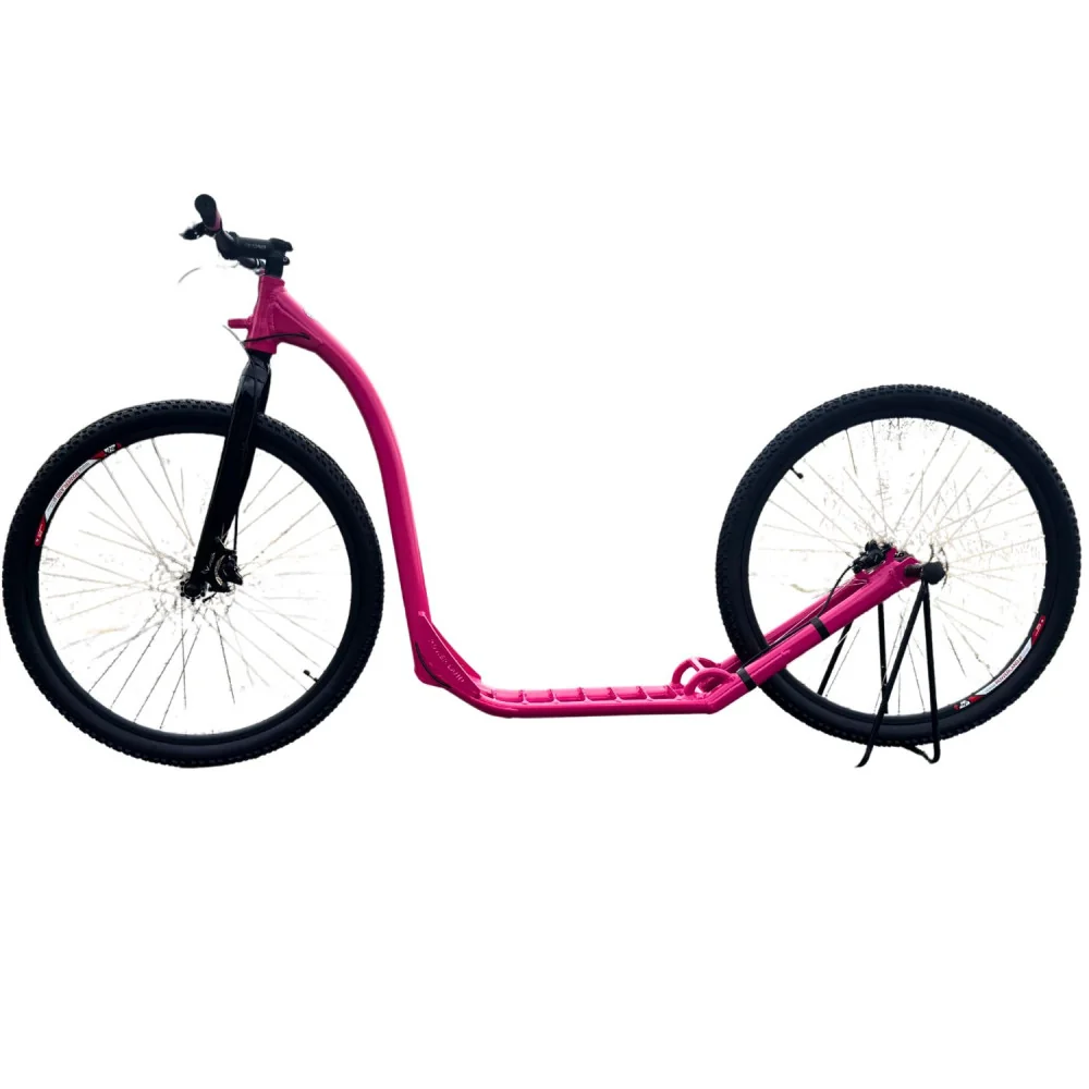 cani trottinette rose devaaant